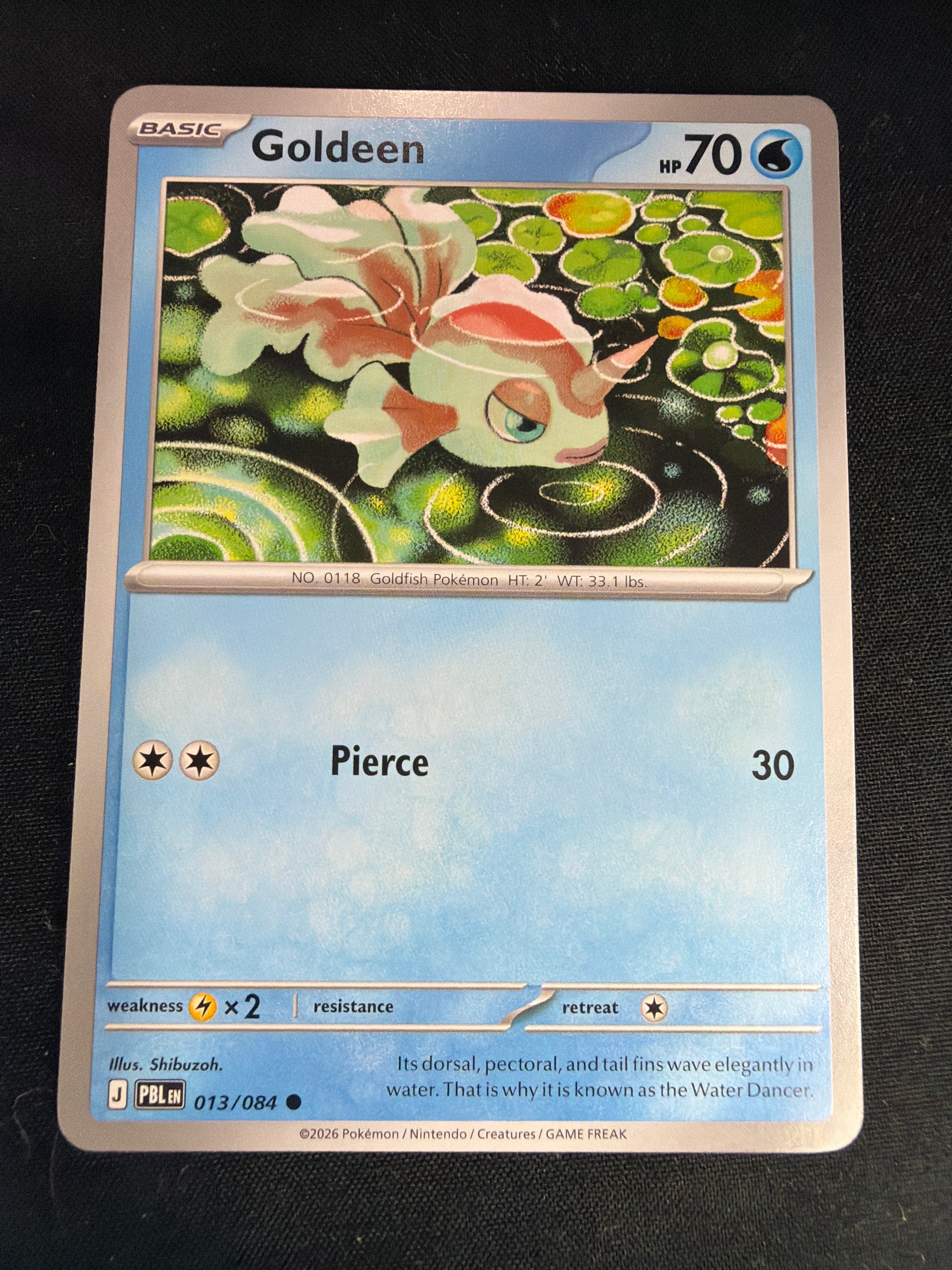 Goldeen • Pitch Black • Common • 013/084