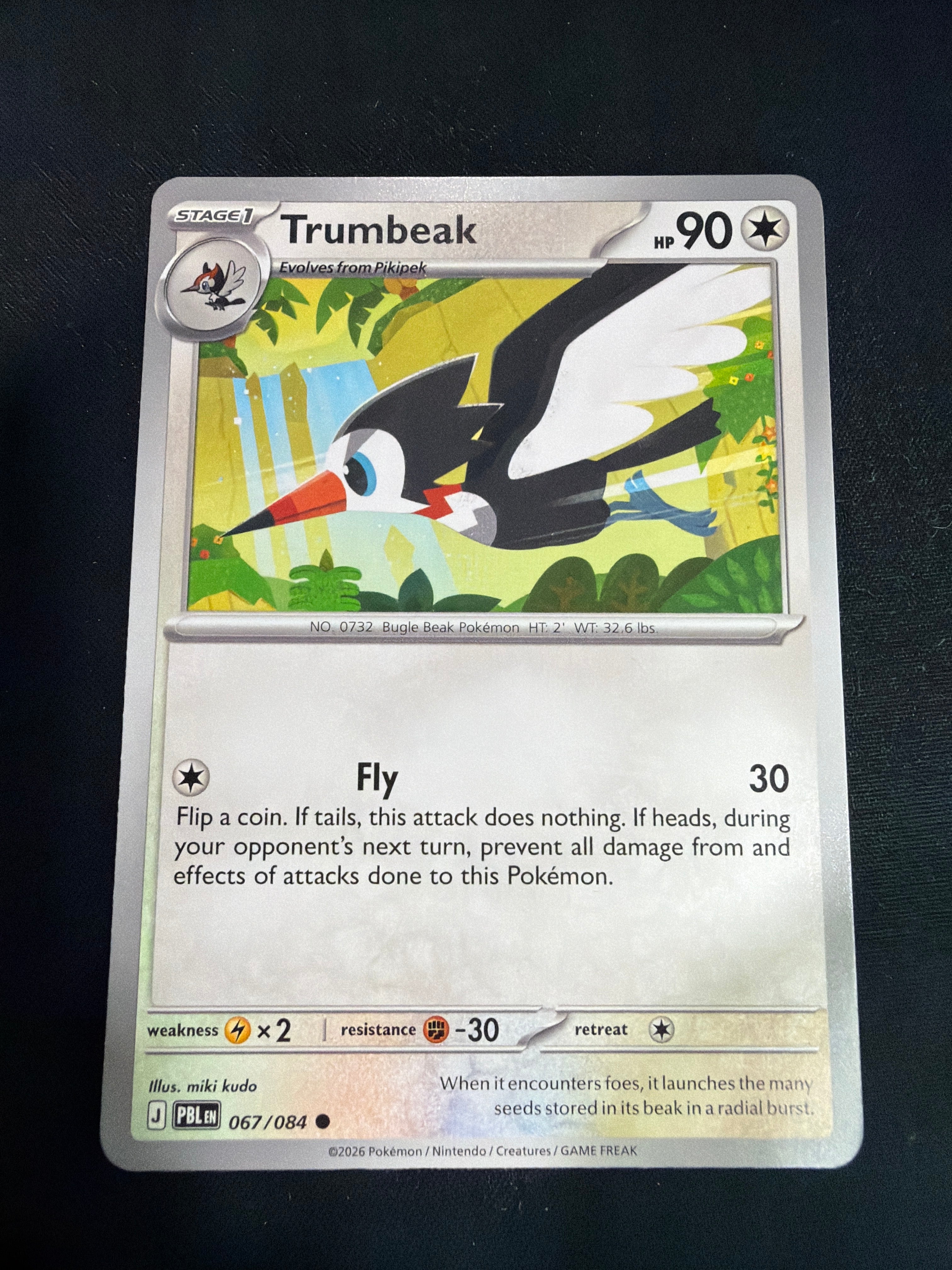 Trumbeak • Pitch Black • Uncommon • 067/084