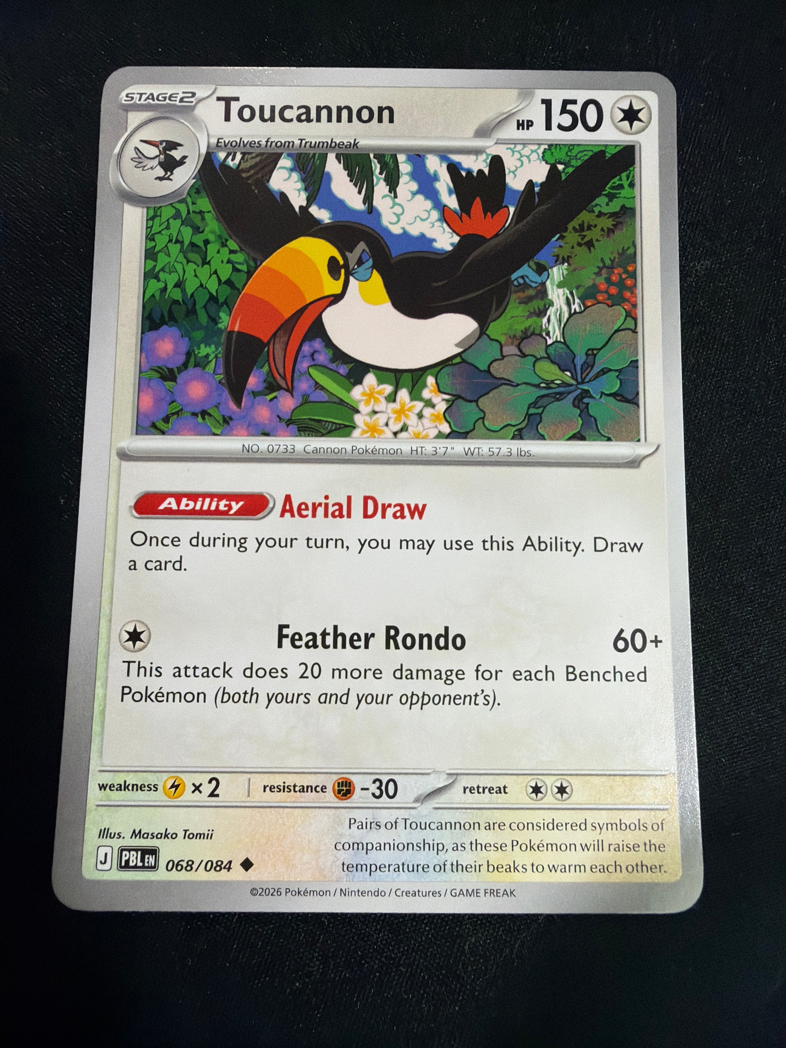 Toucannon • Pitch Black • Rare • 068/084