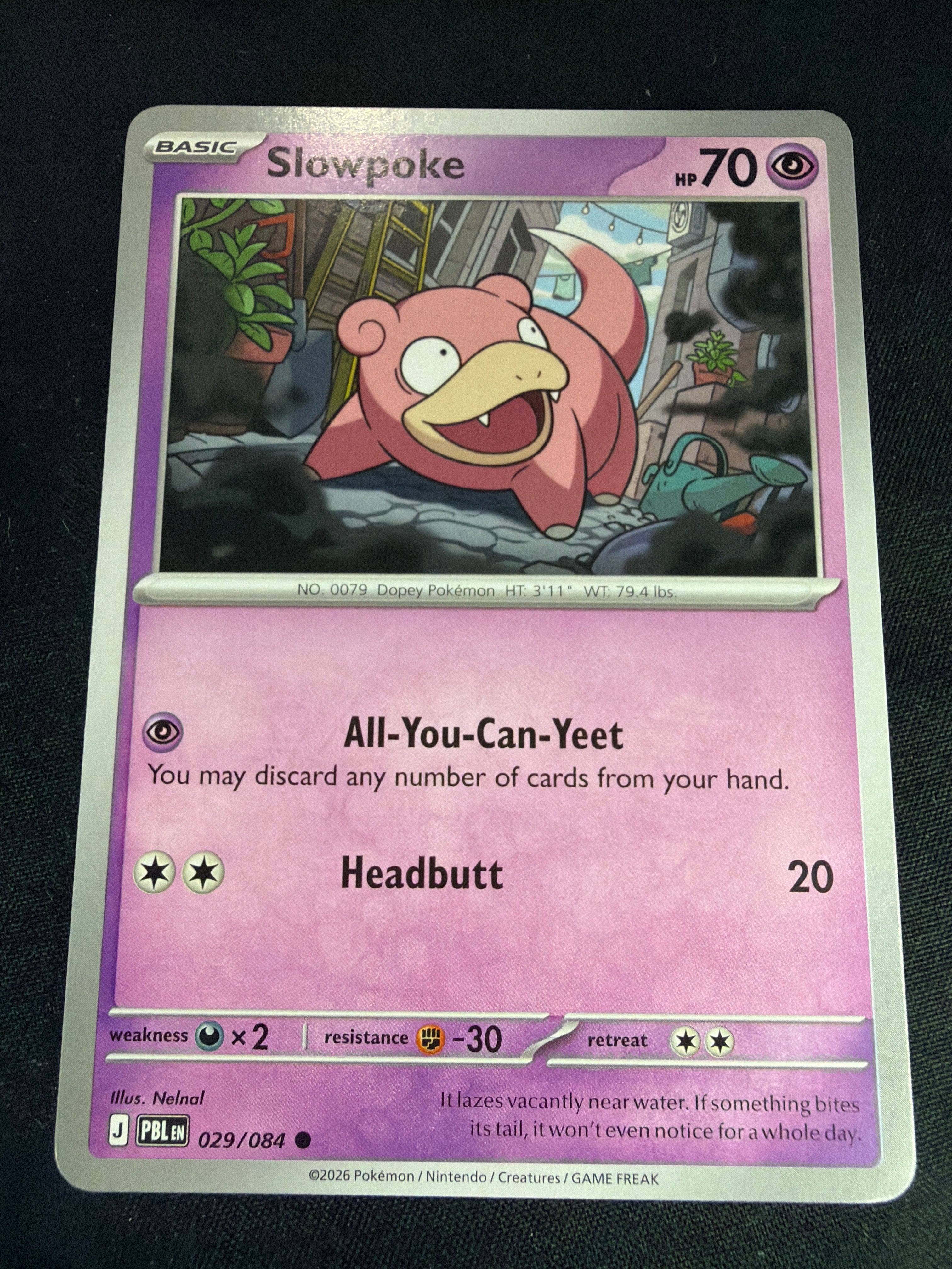 Slowpoke • Pitch Black • Common • 029/084