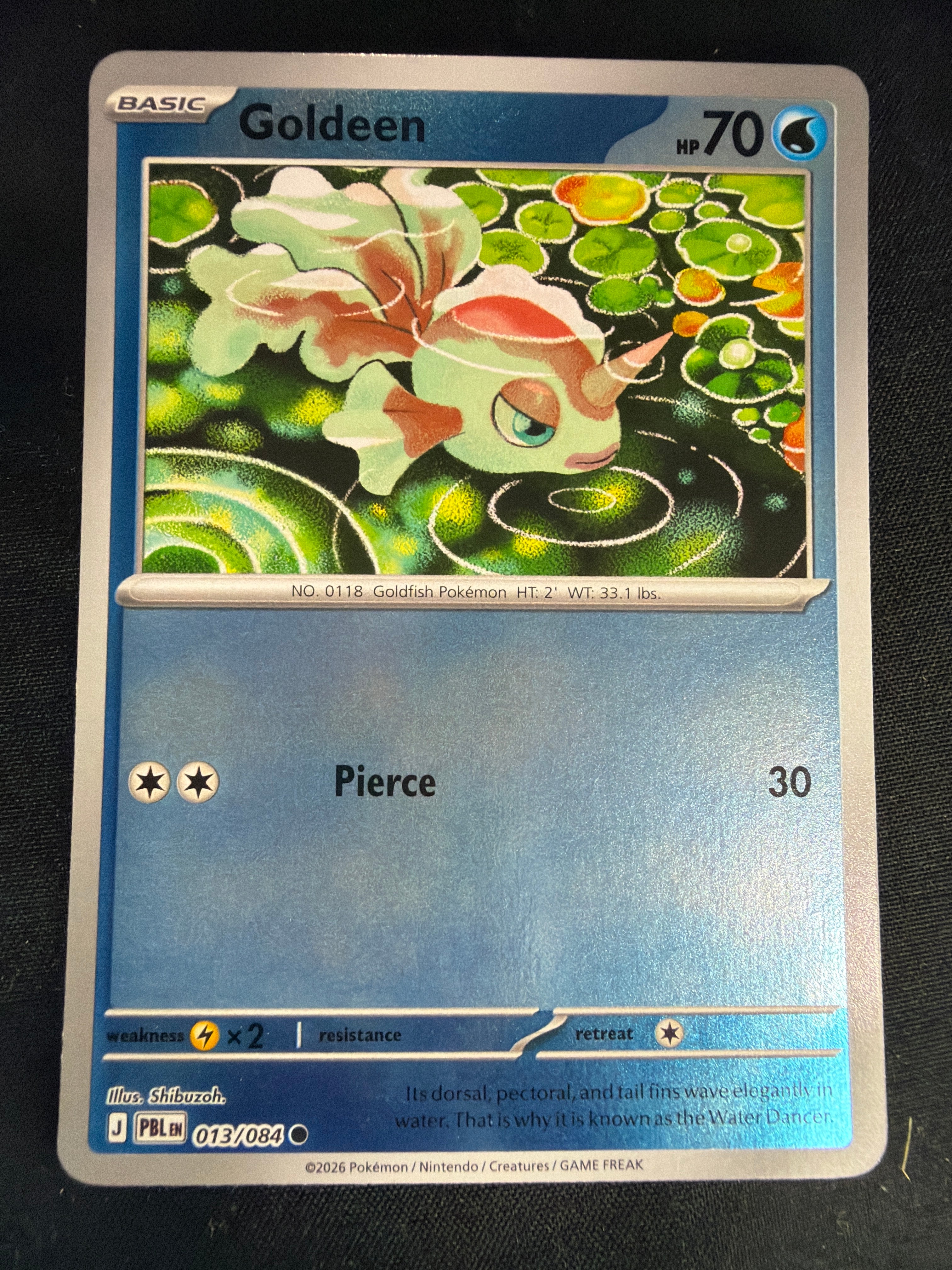 Goldeen • Pitch Black • Reverse Holo • 013/084