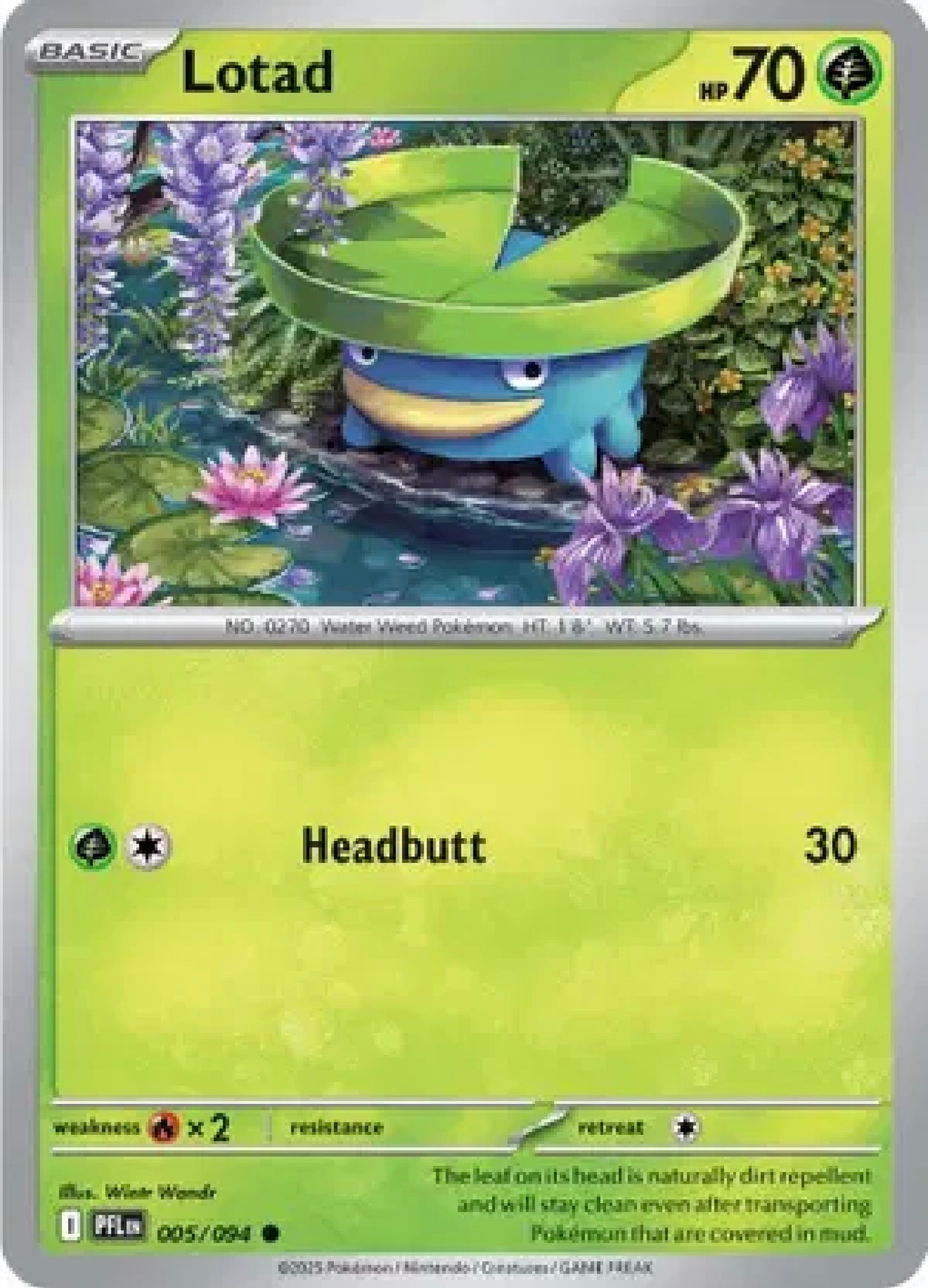 Lotad 005/094 – Phantasmal Flames – Pokémon TCG