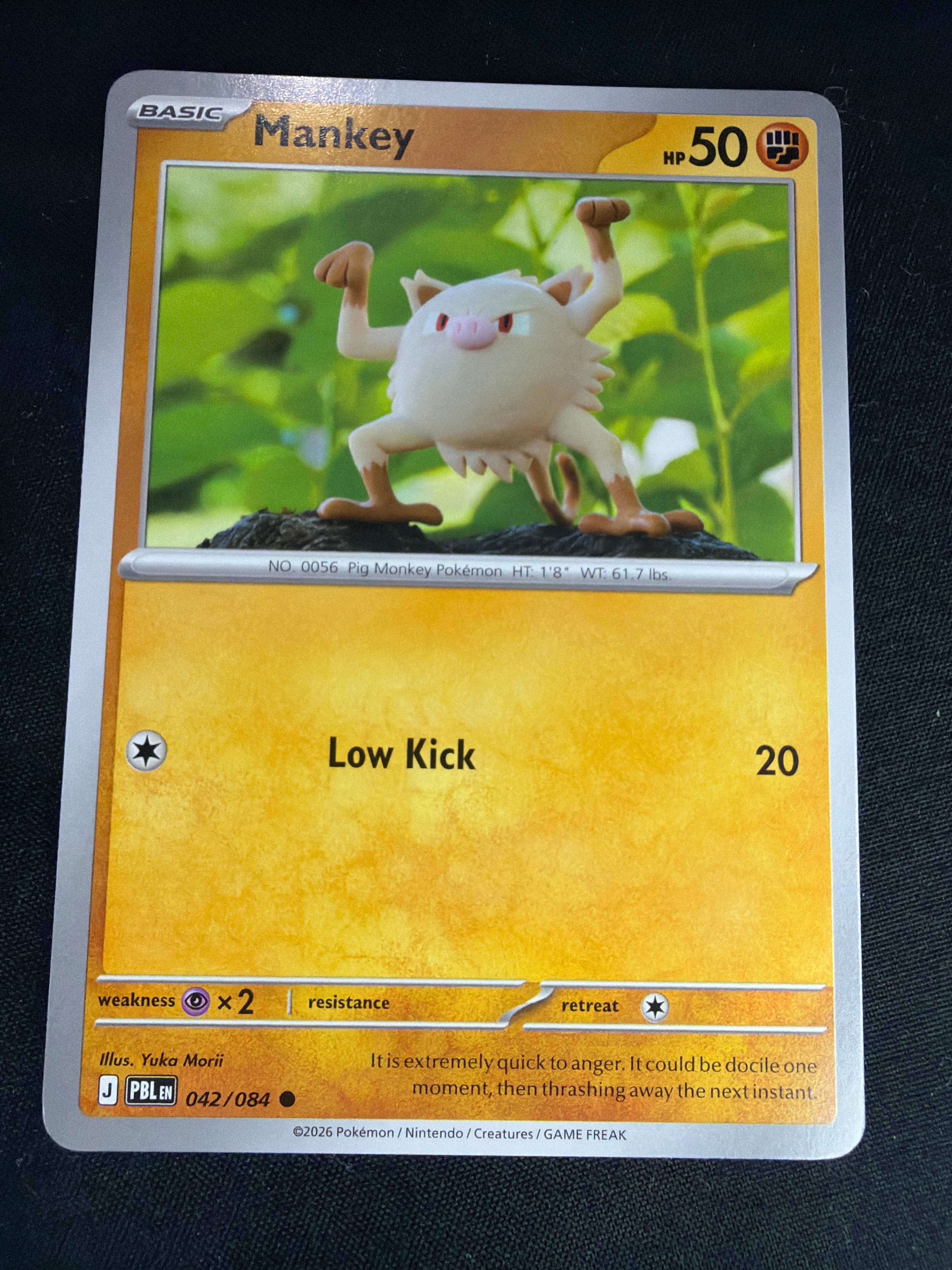Mankey • Pitch Black • Common • 042/084