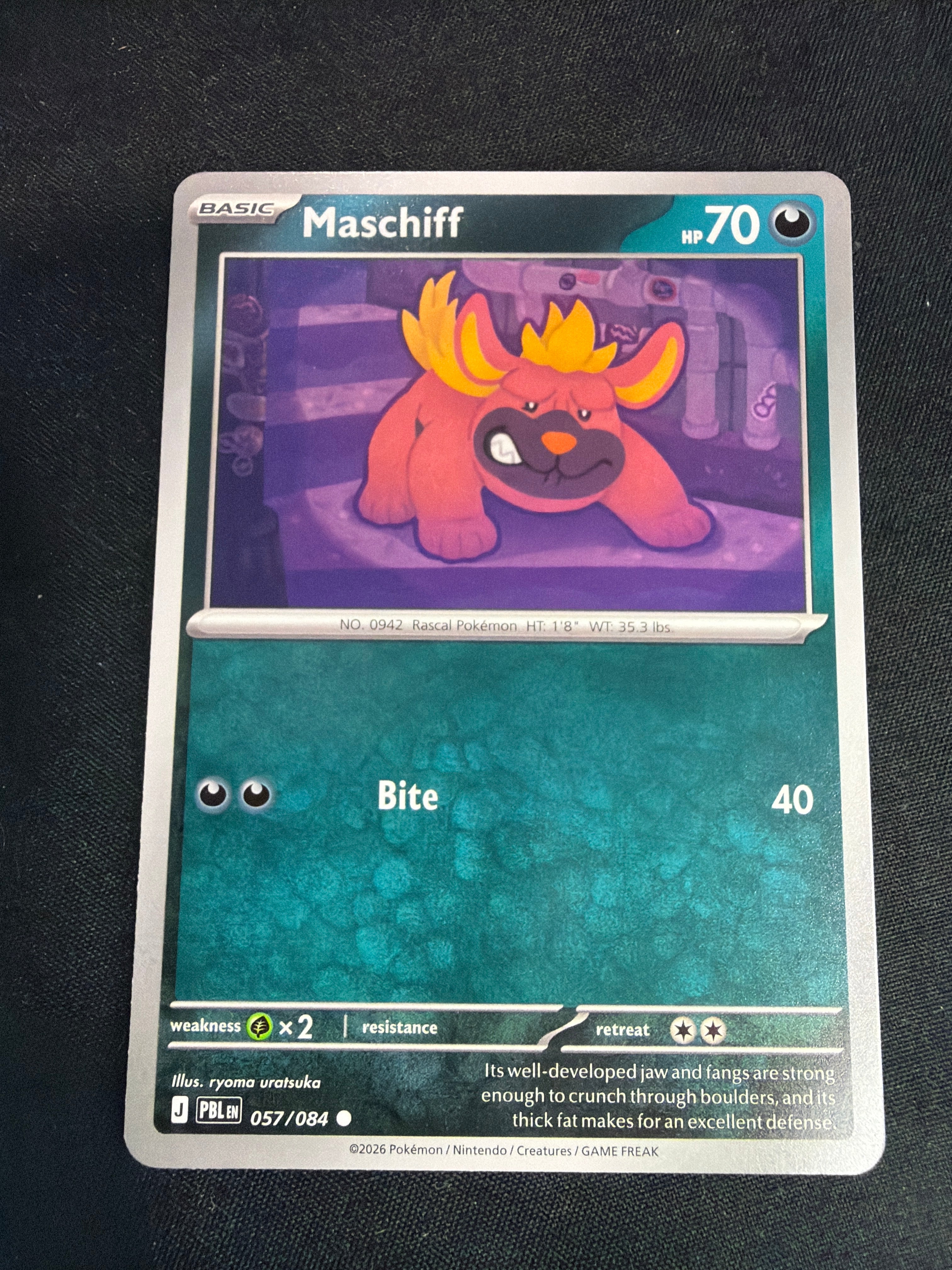 Maschiff • Pitch Black • Common • 057/084