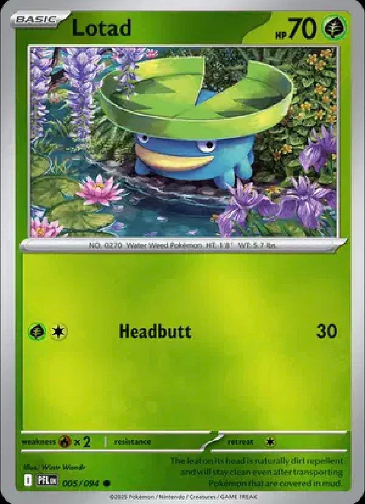 Lotad 005/094 – Reverse Holo – Phantasmal Flames – Pokémon TCG