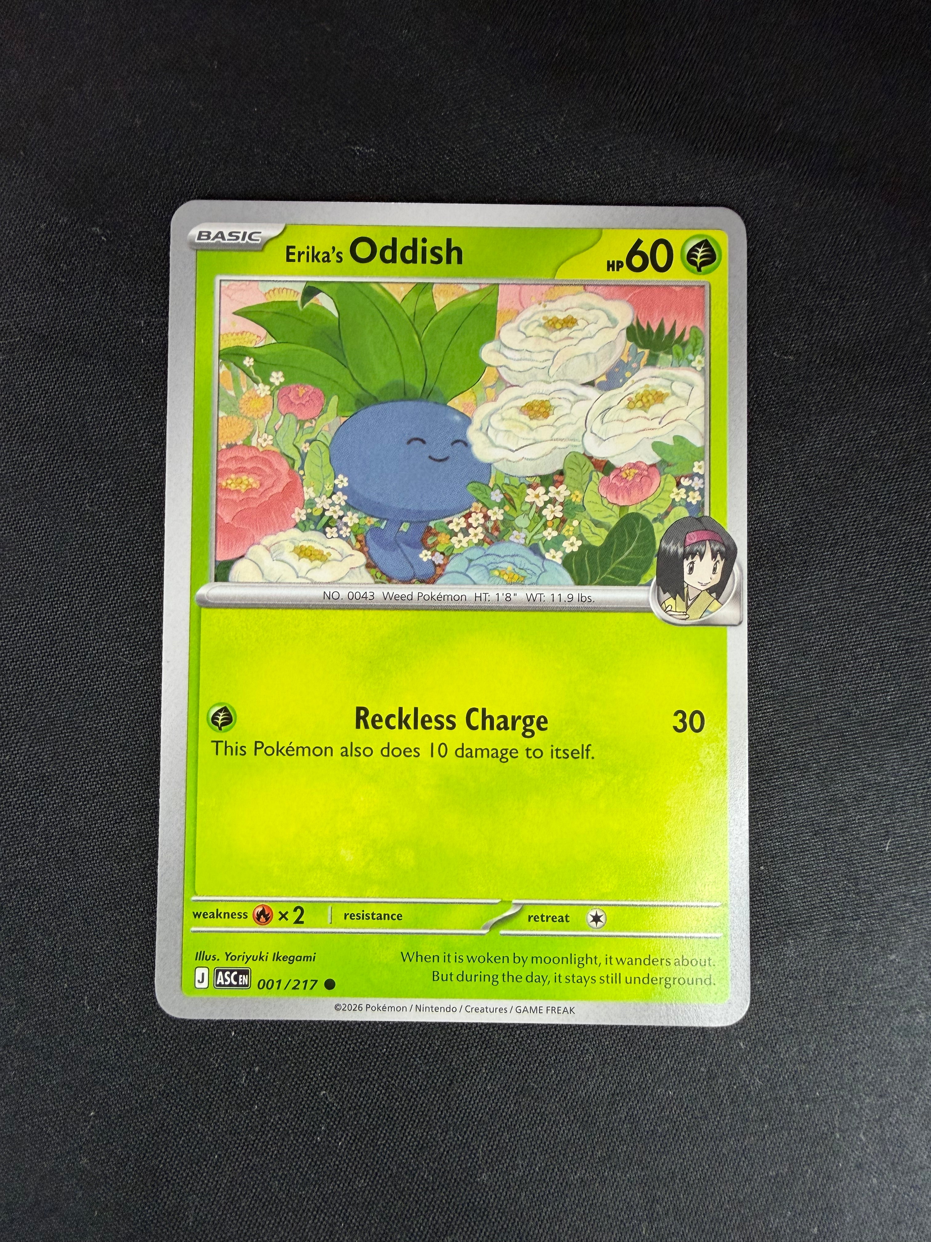 Erika's Oddish • Ascended Heroes
Common • 001/217