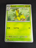 Bayleef Ascended Heroes Uncommon • 009/217